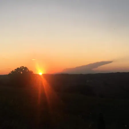 I Pini Di Storaco *