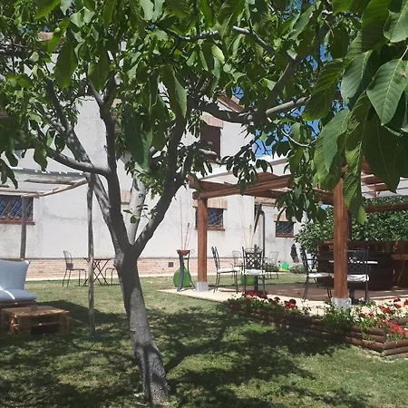 I Pini Di Storaco Panzió Filottrano