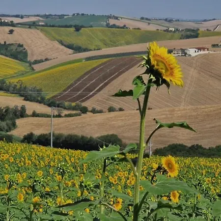 Panzió I Pini Di Storaco Filottrano