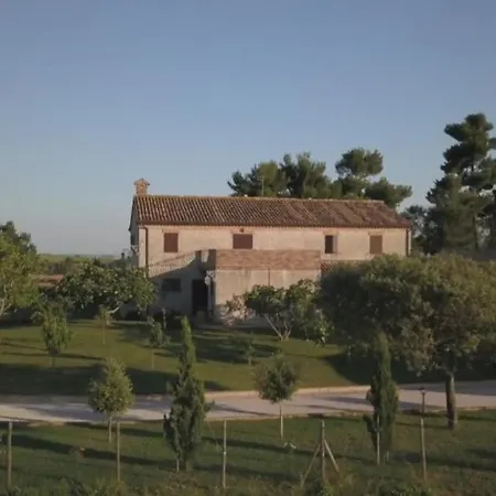 I Pini Di Storaco Bed & Breakfast
