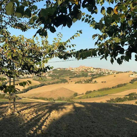 I Pini Di Storaco