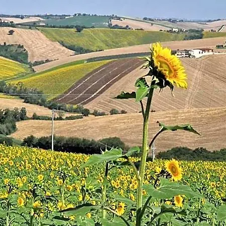 I Pini Di Storaco Couette-café 4*